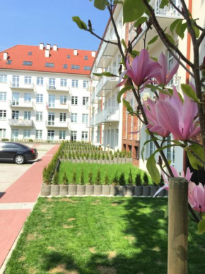 Janosik, Szczecin